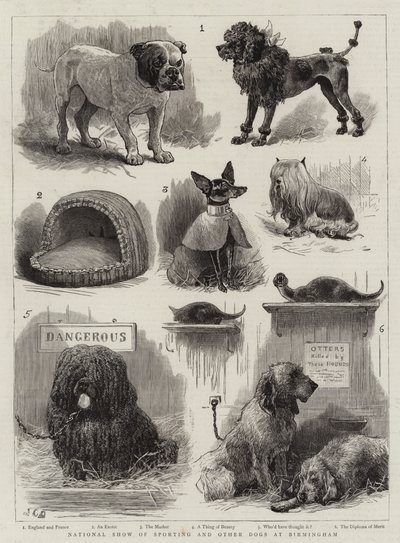 Mostra nazionale di cani sportivi e altri cani a Birmingham da John Charles Dollman